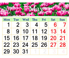 日历为五月与郁金香的花园日历为五月的背景红色的郁金香的花园