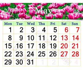 日历为<strong>五月</strong>与郁金香的花园日历为<strong>五月</strong>的背景红色的郁金香的花园
