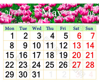 日历为五月与郁金香的花园日历为五月的背景红色的郁金香的花园