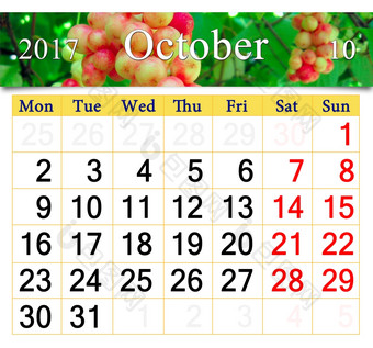 日历为10月与分支<strong>五味</strong>子属日历为10月与的丝带分支红色的成熟的<strong>五味</strong>子属