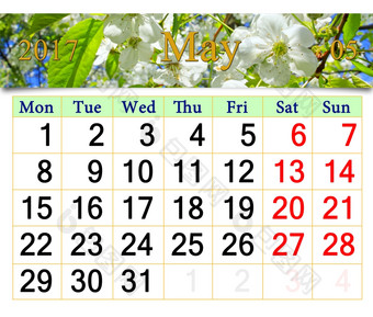 日历为五月与盛开的樱桃树日历为五月与白色盛开的樱桃树