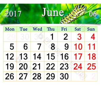 日历为6月与毛毛虫日历为6月与毛毛虫的分支