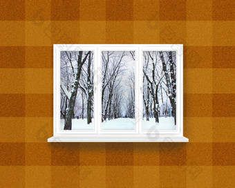 窗口俯瞰的冬天公园窗口俯瞰的冬天公园冬天视图从窗口