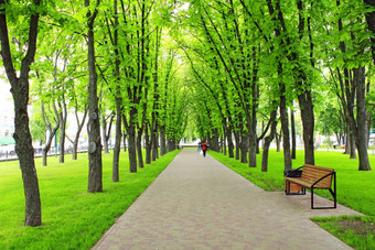 公园与散步路径和大<strong>绿色树</strong>美丽的公园与散步路径高<strong>绿色树</strong>和长椅