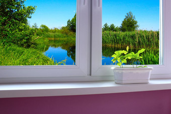 年轻的植物的窗口窗台上窗口俯瞰的湖幼苗橡树的窗口窗台上窗口俯瞰的<strong>森林</strong>湖