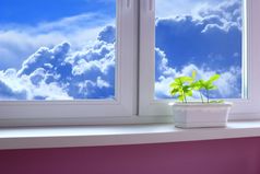 年轻的植物橡树的窗台和视图的多云的天空年轻的植物橡树的窗台巴尔科尼和视图的多云的天空的年轻的树是准备好了种植