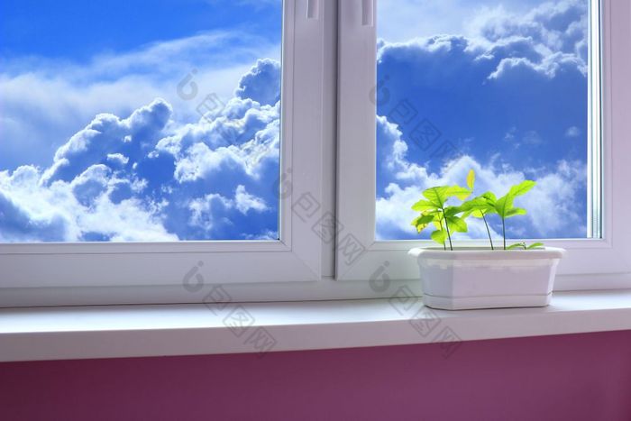 年轻的植物橡树的窗台和视图的多云的天空年轻的植物橡树的窗台巴尔科尼和视图的多云的天空的年轻的树是准备好了种植