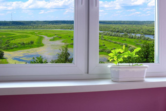 植物的能的窗台和视图的景观植物的能的窗台和视图从的窗口的景观与河