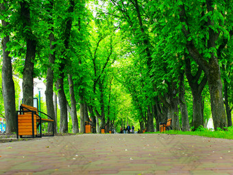 城市<strong>公园</strong>与散步路径长椅和大绿色树美丽的城市<strong>公园</strong>与不错的散步路径长椅和大绿色树城市<strong>公园</strong>的春天