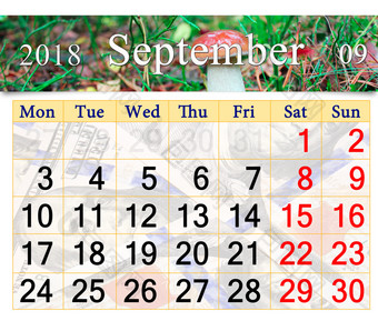 日历为9月与<strong>蘑菇</strong>口袋日历为9月与的图像<strong>小蘑菇</strong>口袋