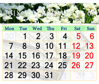 日历为五月与白色郁金香日历为五月与花床上白色郁金香