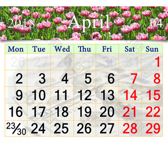 日历为4月与郁金香的花坛日历为4月的背景红色的郁金香的花坛