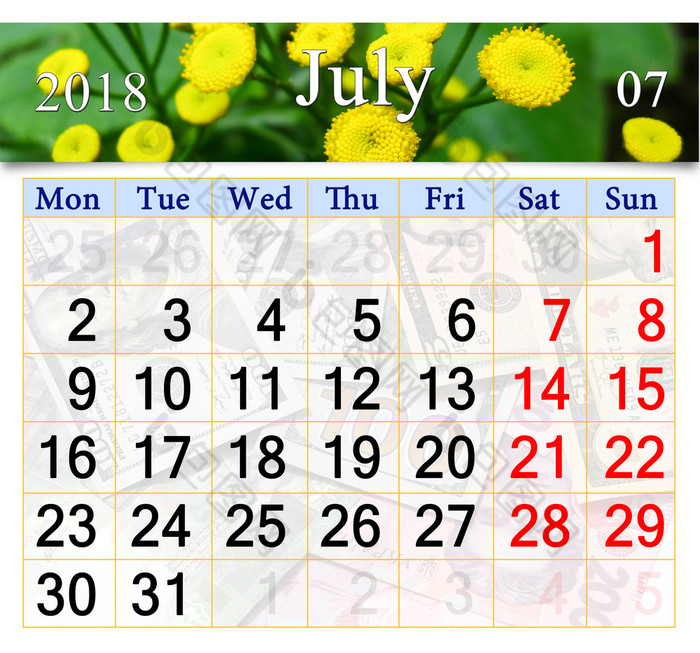 日历为7月与花黄色的Chamomiles日历为7月与小花黄色的Chamomiles