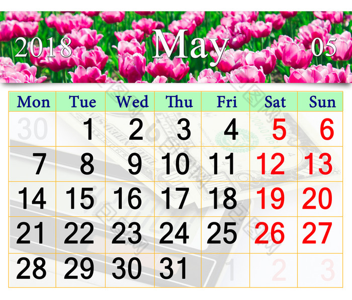 日历为五月与淡紫色郁金香日历为五月与花床上淡紫色郁金香