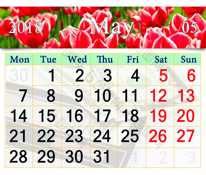 日历为五月与红色的郁金香日历为五月与花床上红色的郁金香
