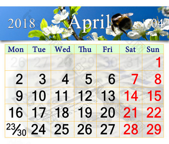 日历为五月日历为五月与图像飞行大黄蜂