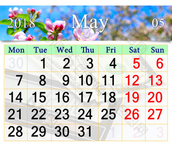 日历为五月与盛开的味蕾苹果树日历为五月与粉红色的味蕾盛开的苹果树