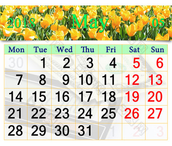 日历为五月与黄色的郁金香日历为五月与花床上黄色的郁金香