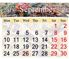 日历为9月与蘑菇苏伊勒斯日历为9月与蘑菇苏伊勒斯的森林