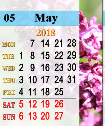 日历为五月与淡紫色分支日历为五月与花淡紫色日历为印刷和使用办公室生活