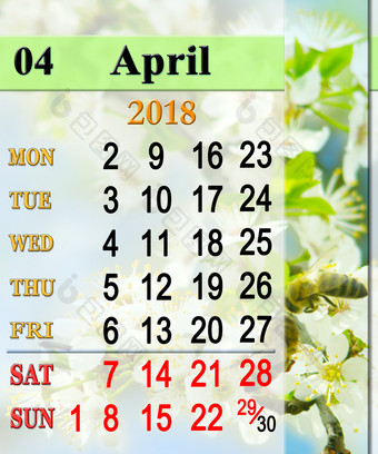 日历为4月与蜜蜂的花日历为4月与蜜蜂的李子树花
