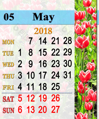 日历为五月与郁金香的花坛日历为五月的背景红色的郁金香的花坛