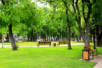 城市公园与<strong>散步</strong>路径长椅和大绿色树美丽的城市公园与不错的<strong>散步</strong>路径长椅和大绿色树城市公园的春天