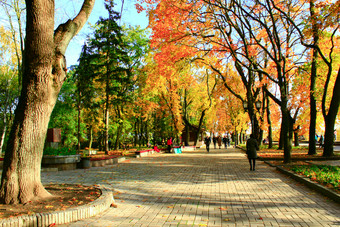 人走的秋天的<strong>城市公园</strong>人走的美丽的<strong>城市公园</strong>与不错的散步路径和大黄色的树<strong>城市公园</strong>的秋天