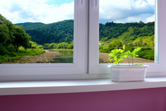 舒适的房间与窗口俯瞰的山景观舒适的房间与窗口俯瞰的美丽的夏天山景观