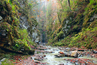 山河流动峡谷在绿色森林美丽的自然景观全景与森林河快多山的河与多石的急流山河流动峡谷在绿色森林景观与河