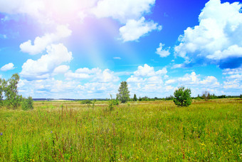 夏天景观与阳光明媚的射线下降场从白色云蓝色的天空白色云以上绿色场草地全景阳光明媚的夏天一天景观场和美丽的云夏天景观与阳光明媚的射线下降场从白色云蓝色的天空
