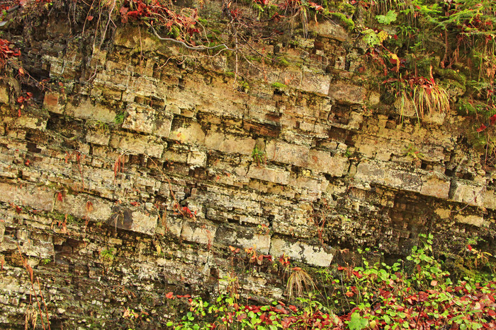岩石层山层多石的岩石地质喀尔巴阡山脉的山图片
