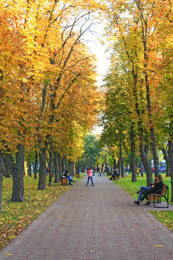 中央城市公园与人走街小巷与长椅秋天季节秋天与黄色的树叶树人走秋天的城市公园人休息公园人走秋天的城市公园季节秋天与黄色的树叶树