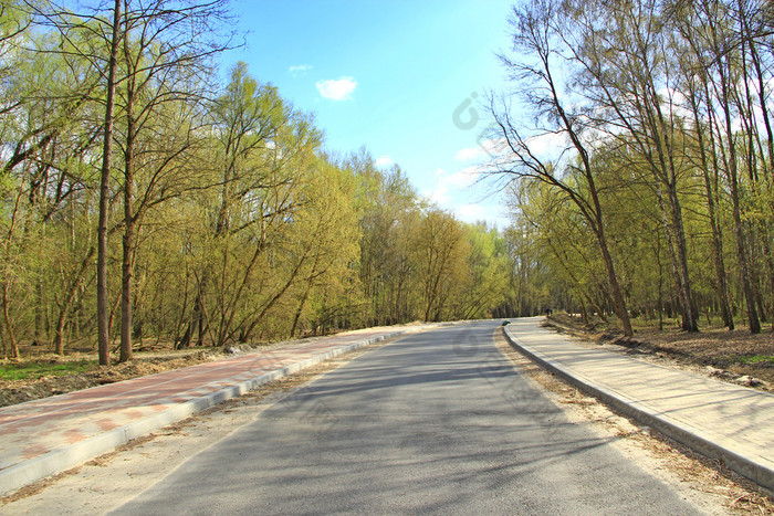 柏油路春天公园空路木路城市公园之间的树春天柏油路与人行道上春天公园