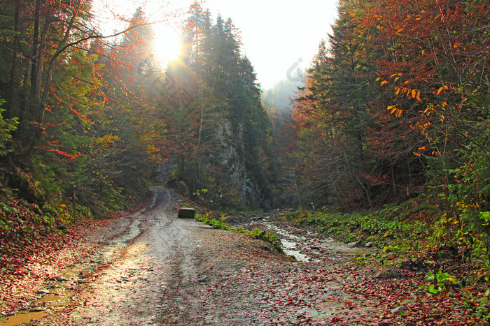 秋天森林伍迪山美丽的橙色和红色的秋天森林丘陵秋天森林山秋天景观与路色彩斑斓的森林和阳光明媚的射线山秋天景观与路色彩斑斓的森林和阳光明媚的射线
