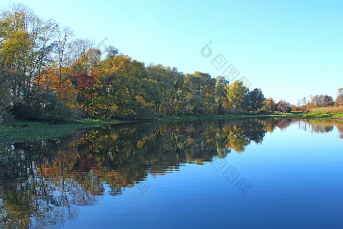 秋天景观树是反映了水表面河黄色的叶子下降湖水风景秋天秋天的全景与河好秋天天气秋天景观干叶子秋天水表面河