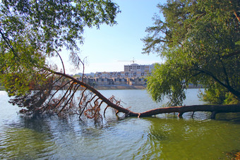 下降松树成水与视图多层<strong>现代</strong>房子站银行河下降树<strong>现代</strong>体系结构<strong>现代</strong>联排别墅河银行城市全景下降松树成水与视图多层<strong>现代</strong>房子银行河