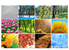 空白与不同的十二个彩色的图片自然为日历准备好了照片为日历空白与十二个彩色的图片自然为日历