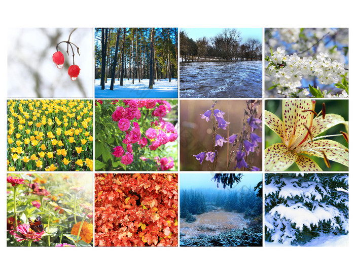空白与不同的十二个彩色的图片自然为日历准备好了照片为日历图片为每年日历榜为办公室空白与十二个彩色的图片自然为日历