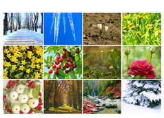 空白与不同的十二个彩色的图片自然为日历准备好了照片为日历图片为每年日历榜为办公室空白与十二个彩色的图片自然为日历