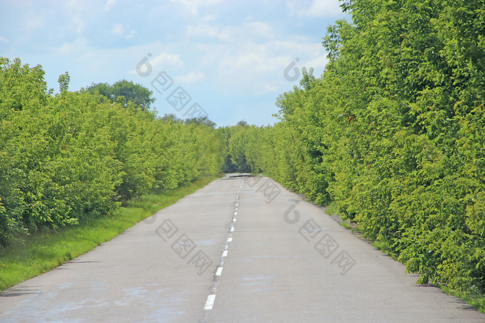 杂草丛生的高速公路路与密集的植被国空高速公路自然夏天景观与沥青路和绿色路边空高速公路沥青路景观与沥青路和绿色路边空高速公路沥青路