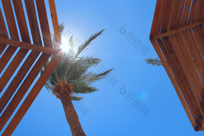 太阳射线使道路通过分支机构棕榈树棕榈树海滩旅行概念热带娱乐假期热带地区生活方式概念放松概念非洲太阳太阳射线使道路通过分支机构棕榈树放松概念