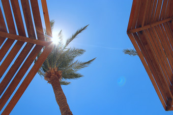 太阳射线使道路通过<strong>分支机构</strong>棕榈树棕榈树海滩旅行概念热带娱乐假期热带地区生活方式概念放松概念非洲太阳太阳射线使道路通过<strong>分支机构</strong>棕榈树放松概念