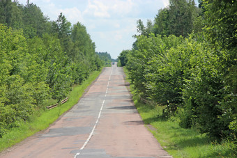 杂草丛生的高速公路路与密集的<strong>植被</strong>国空高速公路自然夏天景观与沥青路和绿色路边空高速公路沥青路景观与沥青路和绿色路边空高速公路沥青路