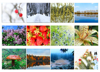 不同的<strong>十二</strong>个彩色的图片自然为日历准备好了照片为日历图片为每年日历榜为办公室<strong>十二</strong>个彩色的图片自然为日历