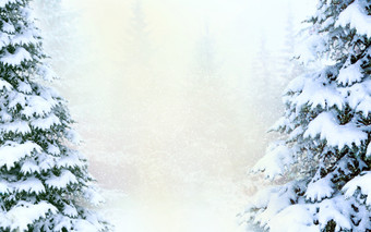 蓝色的梳理覆盖与雪森林梳理雪国与空空间中间美丽的圣诞节和新一年树与复制空间圣诞节树雪冬天森林蓝色的梳理覆盖与雪森林快乐圣诞节夏娃