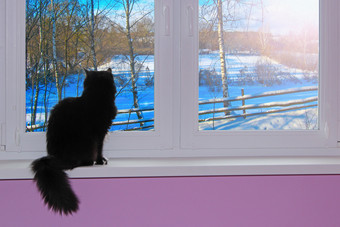黑色的猫看出窗口后面哪一个雪冬天猫坐着窗台上和看冬天村农村冬天景观猫看窗口与冷冬天除了黑色的猫看出窗口后面哪一个雪冬天农村冬天景观