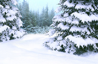 冬天森林与<strong>梳理</strong>覆盖与雪森林<strong>梳理</strong>雪站冬天木美丽的圣诞节和新一年树圣诞节树雪冬天森林冬天森林与<strong>梳理</strong>覆盖与雪森林快乐圣诞节夏娃