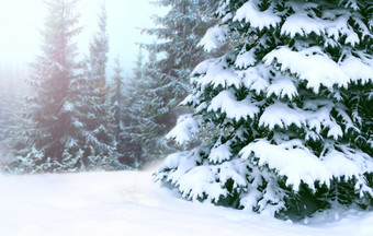 <strong>冬天</strong>森林与梳理覆盖与<strong>雪</strong>森林梳理<strong>雪</strong>站<strong>冬天</strong>木美丽的圣诞节和新一年树圣诞节树<strong>雪冬天</strong>森林<strong>冬天</strong>森林与梳理覆盖与<strong>雪</strong>森林快乐圣诞节夏娃