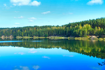 美丽的森林湖与翡翠水的松森林美妙的自然视图水全景野生自然森林湖与翡翠水美丽的湖全景